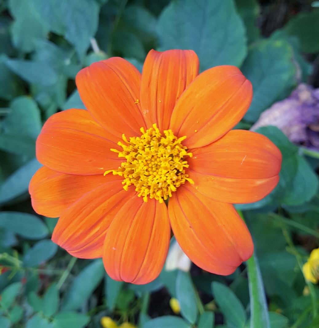 Januar 2026: Jardin des Plantes