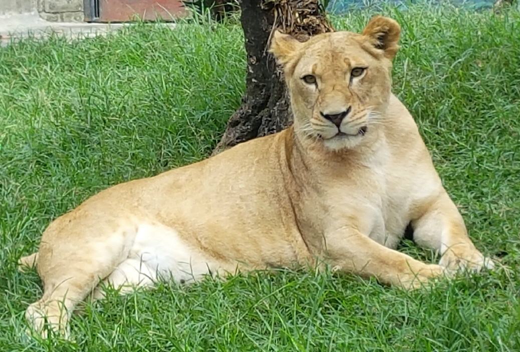 Okt 26: Parque Zool&oacute;gico Santa Fe